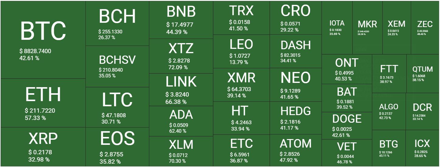 cryptocurrency winning months